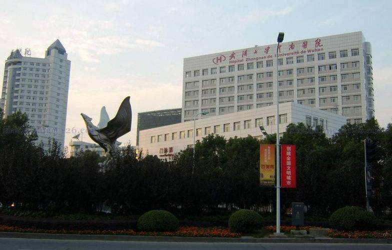 Laatste bedrijfscasus over Het Zhongnanziekenhuis van Wuhan-Universiteit